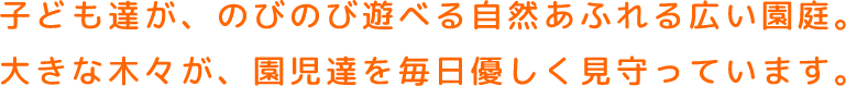 子ども達が、のびのび遊べる自然あふれる広い園庭。大きな木々が、園児達を毎日優しく見守っています。